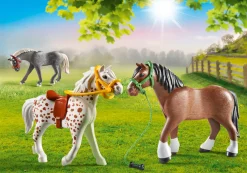 Les Animaux|PLAYMOBIL 3 chevaux