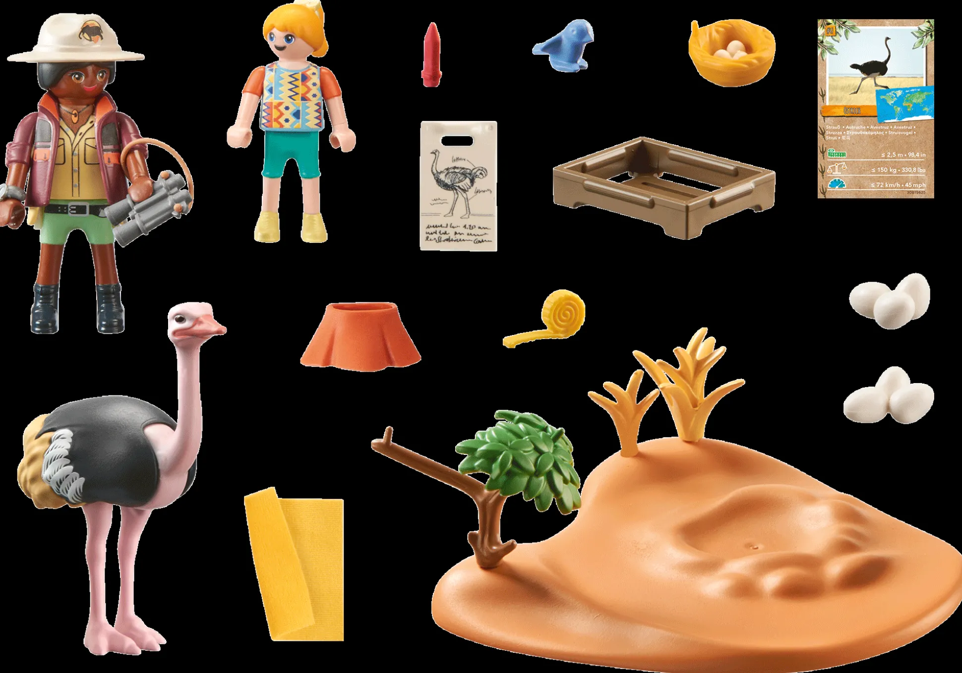 Les Animaux|PLAYMOBIL Explorateurs et nid d'autruche